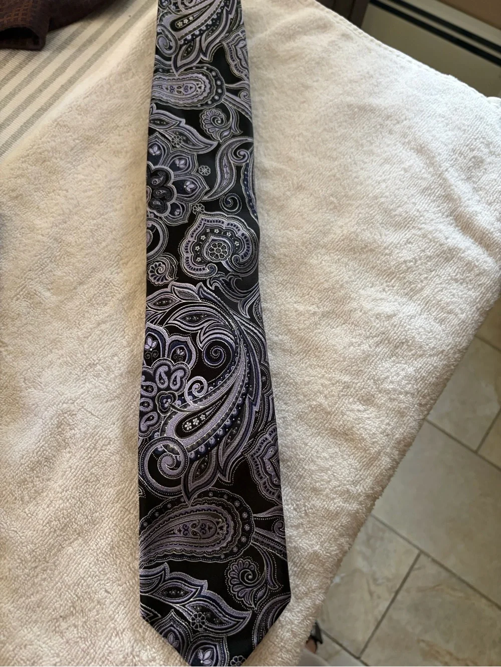 Robert Talbott Black and Lavender Paisley Silk Tie